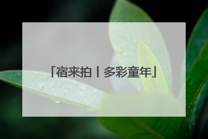 宿来拍丨多彩童年
